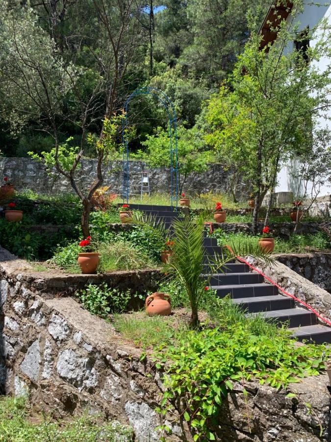 Alp Inn Villas Turunc Exterior photo